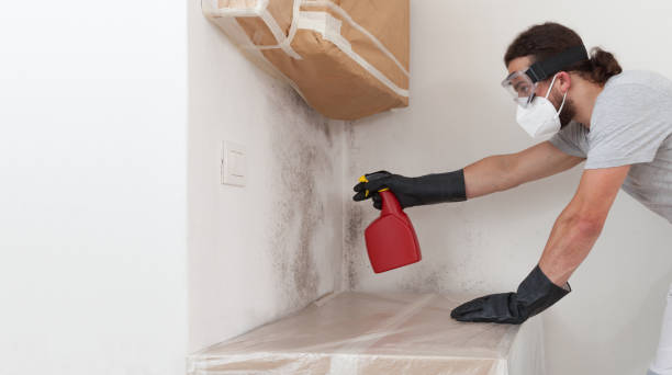 Professional Bathroom Mold Removal technician working in Oxford, NC
