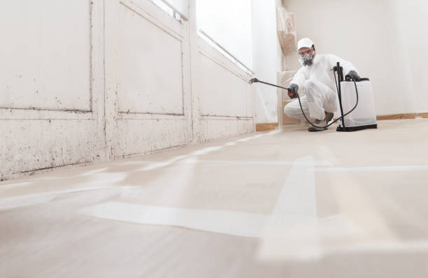 24/7 Emergency Bathroom Mold Removal experts in Oxford, NC