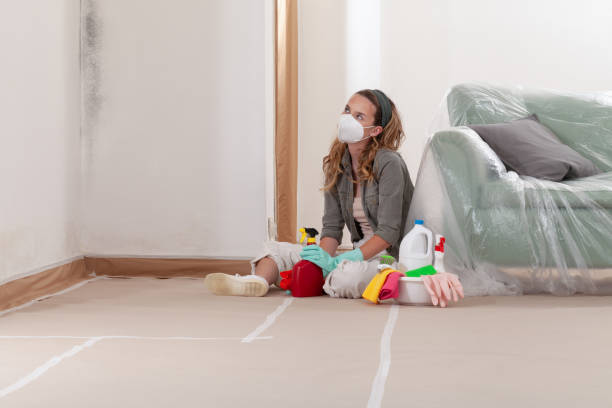 Reliable Mold Remediation contractor in Oxford, NC by Cheap Mold Removal